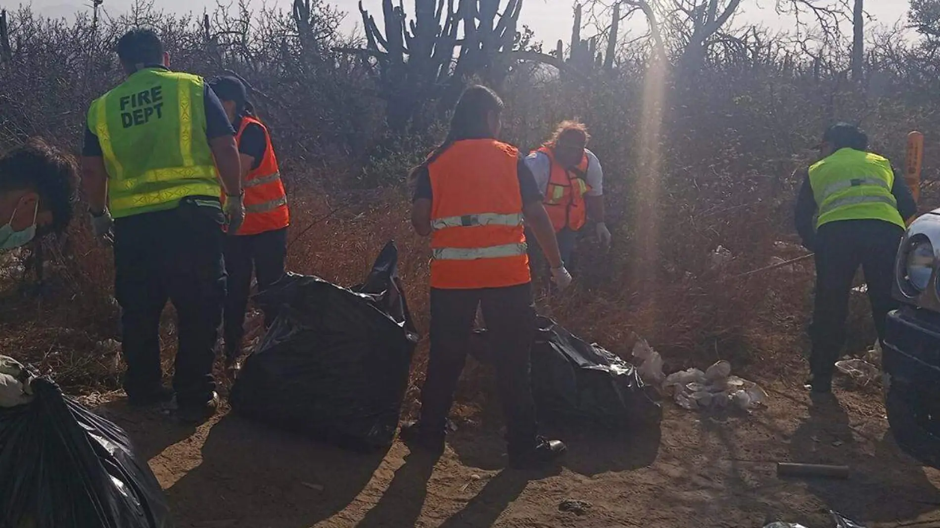 Recoleccion de basura los cabos